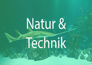 natur und technik Studienrichtung